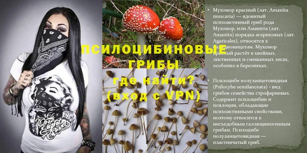 каннабис Беломорск