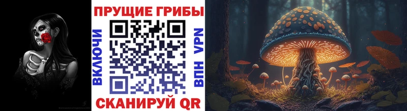 Галлюциногенные грибы GOLDEN TEACHER  купить наркоту  Киренск 